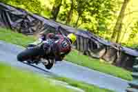 cadwell-no-limits-trackday;cadwell-park;cadwell-park-photographs;cadwell-trackday-photographs;enduro-digital-images;event-digital-images;eventdigitalimages;no-limits-trackdays;peter-wileman-photography;racing-digital-images;trackday-digital-images;trackday-photos